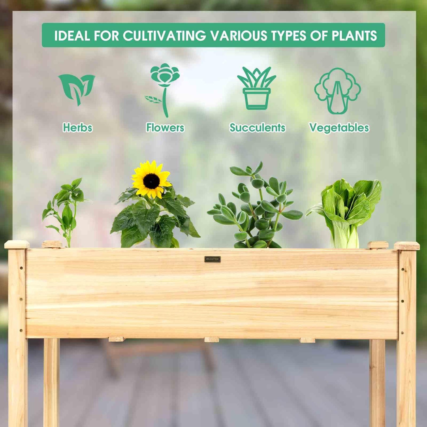Wooden Raised Garden Bed w/ Sun-Protective PE Cover Elevated Planter Box w/ Legs